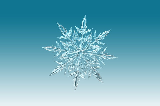 Hijo de la nieve – Défi des plumes #4